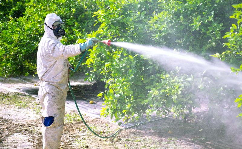 Commercial Fumigation in Toledo, OH